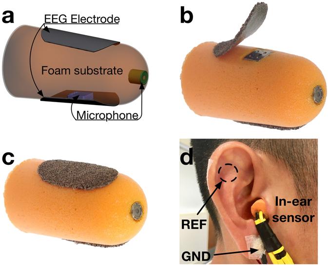 https://cdn.ncbi.nlm.nih.gov/pmc/blobs/1f80/5537365/2bf8562847eb/41598_2017_6925_Fig1_HTML.jpg