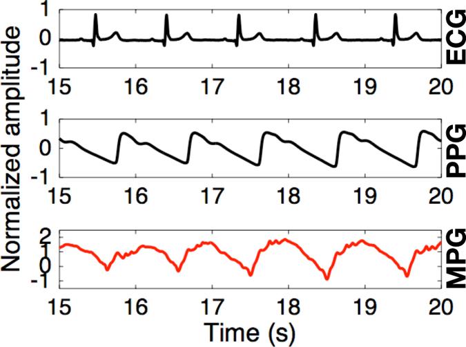 https://cdn.ncbi.nlm.nih.gov/pmc/blobs/1f80/5537365/74fa6765bb64/41598_2017_6925_Fig7_HTML.jpg