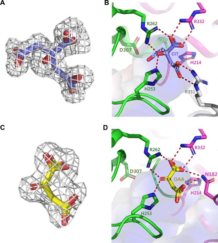 https://cdn.ncbi.nlm.nih.gov/pmc/blobs/1f80/6386500/1536009f208b/pone.0212807.g002.jpg
