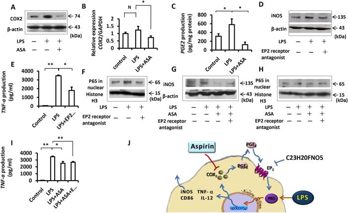 https://cdn.ncbi.nlm.nih.gov/pmc/blobs/1f81/5599518/8cba5e614544/41598_2017_10720_Fig2_HTML.jpg