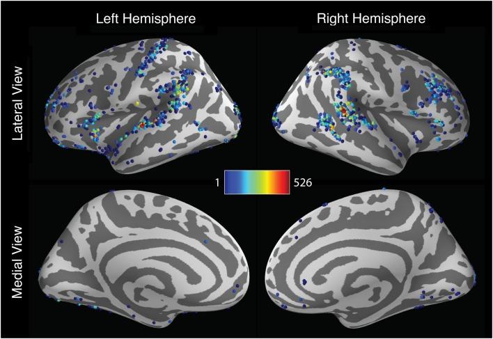 https://cdn.ncbi.nlm.nih.gov/pmc/blobs/1f84/3468892/6de30079f6d0/fnins-06-00149-g004.jpg
