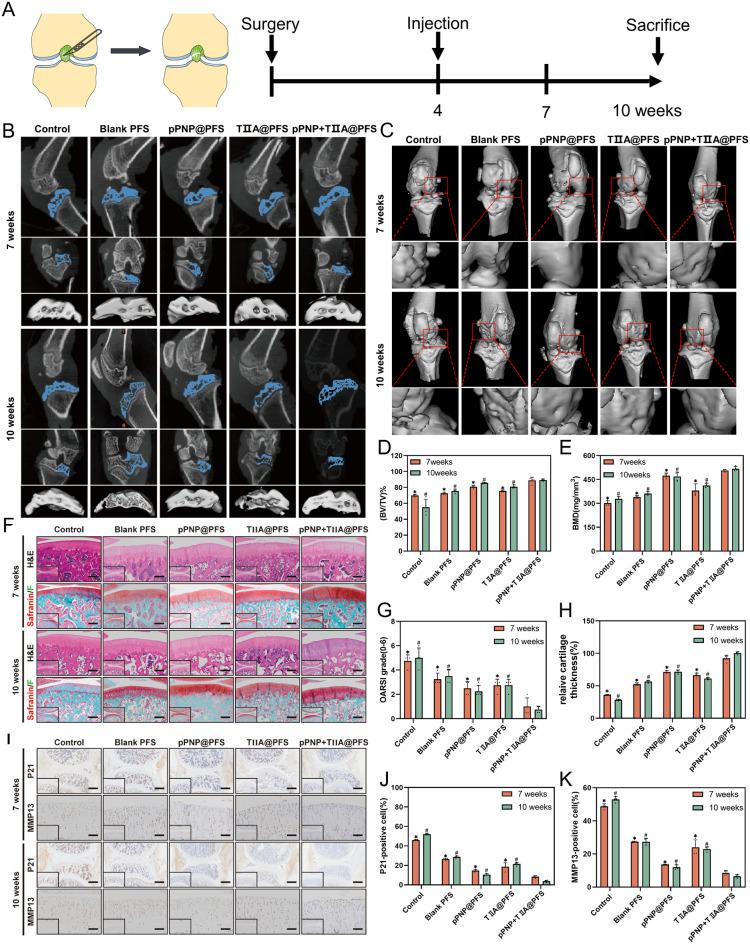 https://cdn.ncbi.nlm.nih.gov/pmc/blobs/1f85/11163801/179e47624704/12951_2024_2608_Fig6_HTML.jpg