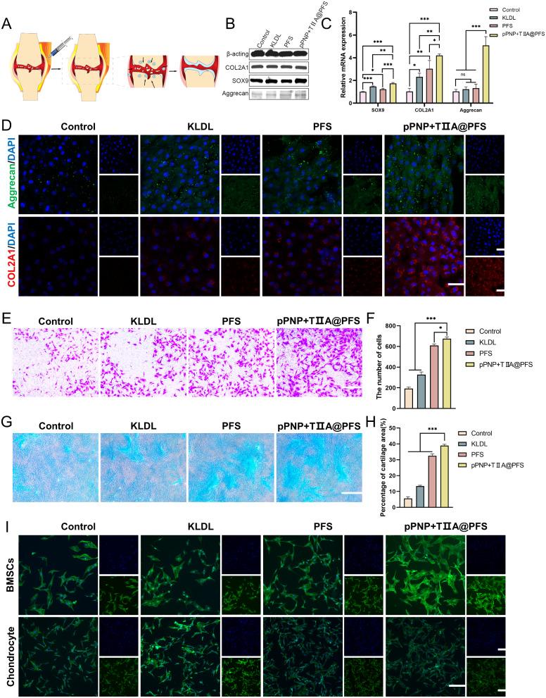 https://cdn.ncbi.nlm.nih.gov/pmc/blobs/1f85/11163801/21594a69e729/12951_2024_2608_Fig5_HTML.jpg