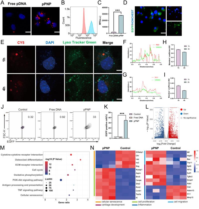 https://cdn.ncbi.nlm.nih.gov/pmc/blobs/1f85/11163801/a907bedbd4e5/12951_2024_2608_Fig3_HTML.jpg