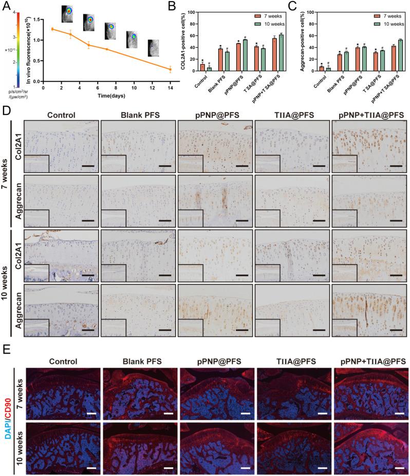 https://cdn.ncbi.nlm.nih.gov/pmc/blobs/1f85/11163801/d6afd5d3c243/12951_2024_2608_Fig7_HTML.jpg