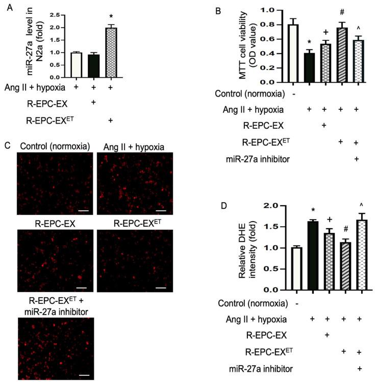 https://cdn.ncbi.nlm.nih.gov/pmc/blobs/1f89/10816803/b629a097918e/ijms-25-01148-g003.jpg