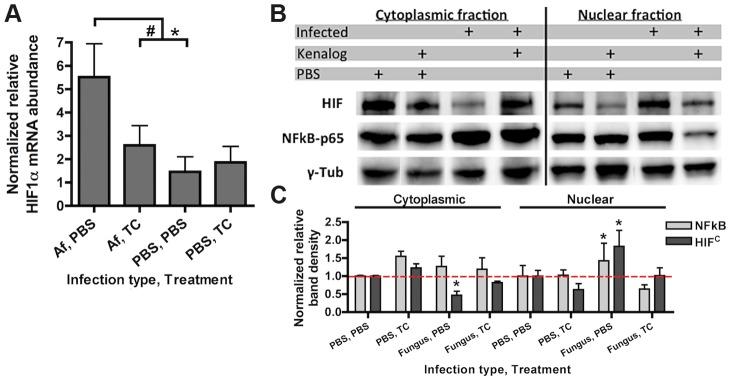 https://cdn.ncbi.nlm.nih.gov/pmc/blobs/1f8b/4177996/fd63bbce4332/ppat.1004378.g001.jpg