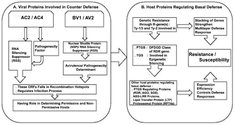 https://cdn.ncbi.nlm.nih.gov/pmc/blobs/1f8b/5691616/98217a48d29a/viruses-09-00264-g001.jpg