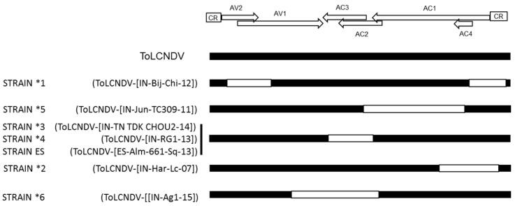 https://cdn.ncbi.nlm.nih.gov/pmc/blobs/1f8b/5691616/b0b0d935e2c1/viruses-09-00264-g003.jpg