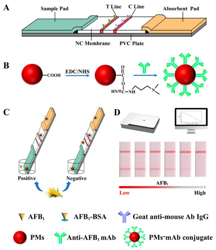 https://cdn.ncbi.nlm.nih.gov/pmc/blobs/1f8b/8234612/5b962459d841/biosensors-11-00200-g001.jpg
