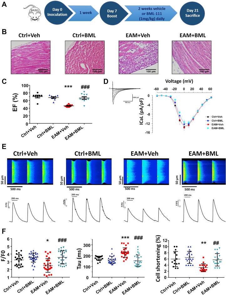 https://cdn.ncbi.nlm.nih.gov/pmc/blobs/1f8b/9270570/85b5f56769f4/gr1.jpg