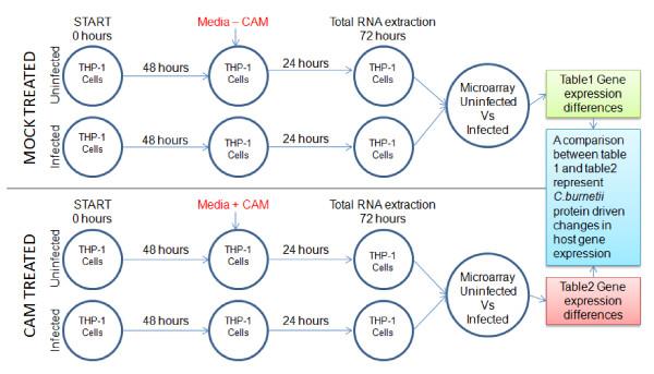 https://cdn.ncbi.nlm.nih.gov/pmc/blobs/1f8c/2954873/112bffffd242/1471-2180-10-244-1.jpg