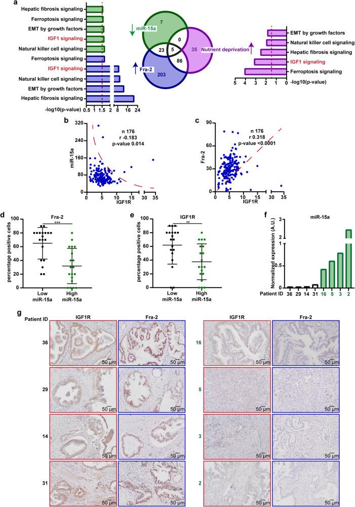 https://cdn.ncbi.nlm.nih.gov/pmc/blobs/1f8d/10859382/425ed53c9148/41392_2024_1740_Fig1_HTML.jpg