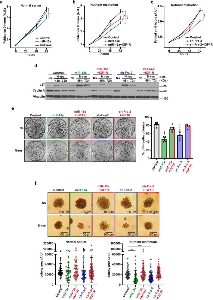 https://cdn.ncbi.nlm.nih.gov/pmc/blobs/1f8d/10859382/5ac0818575ba/41392_2024_1740_Fig3_HTML.jpg