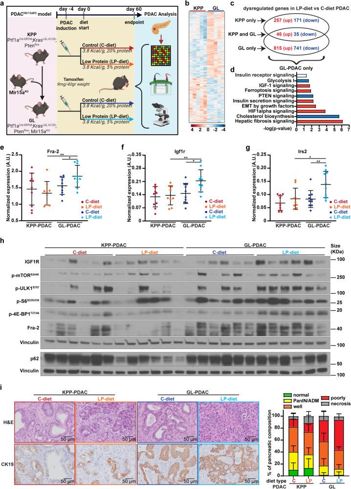 https://cdn.ncbi.nlm.nih.gov/pmc/blobs/1f8d/10859382/9bf724f837b1/41392_2024_1740_Fig4_HTML.jpg