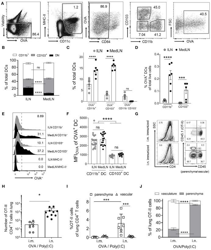 https://cdn.ncbi.nlm.nih.gov/pmc/blobs/1f8d/6668556/210e3cce816a/fimmu-10-01650-g0001.jpg