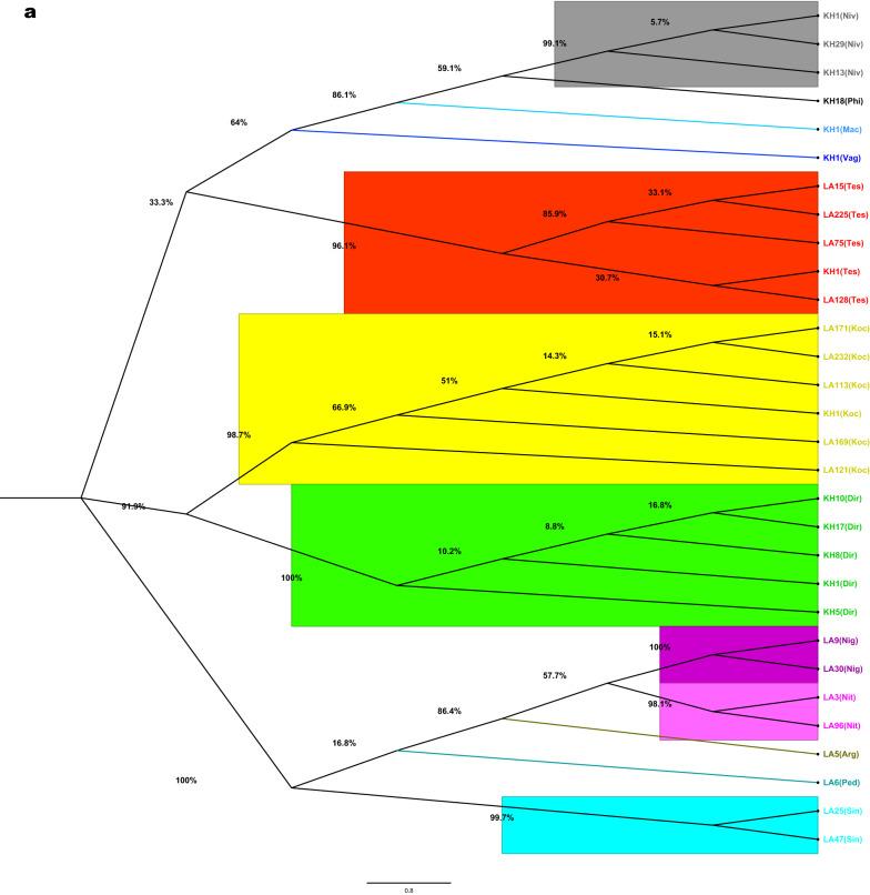 https://cdn.ncbi.nlm.nih.gov/pmc/blobs/1f8d/8933986/1689929ce011/13071_2022_5167_Fig3a_HTML.jpg