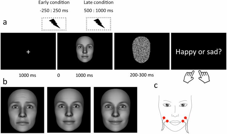 https://cdn.ncbi.nlm.nih.gov/pmc/blobs/1f90/12222530/5e2b66bfb2d5/44271_2025_281_Fig1_HTML.jpg
