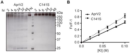 https://cdn.ncbi.nlm.nih.gov/pmc/blobs/1f92/2991261/818a659ae925/ppat.1001210.g007.jpg