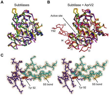 https://cdn.ncbi.nlm.nih.gov/pmc/blobs/1f92/2991261/ae08e3afb69d/ppat.1001210.g006.jpg
