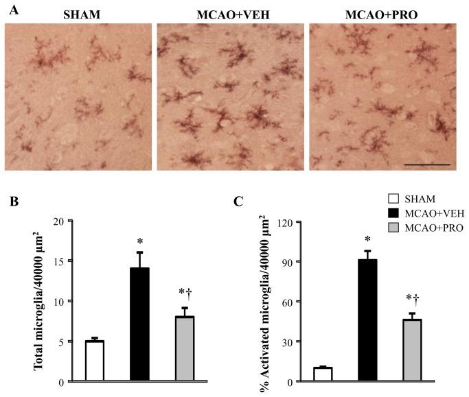 https://cdn.ncbi.nlm.nih.gov/pmc/blobs/1f92/3857282/7b1af83e65ac/pone.0082729.g003.jpg