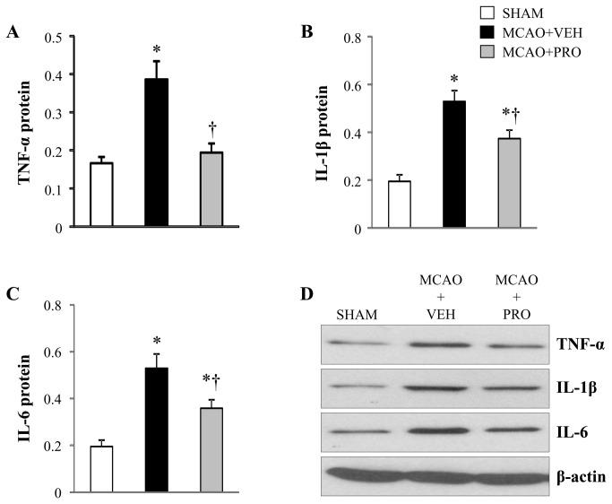 https://cdn.ncbi.nlm.nih.gov/pmc/blobs/1f92/3857282/d68e41ec9f2c/pone.0082729.g005.jpg