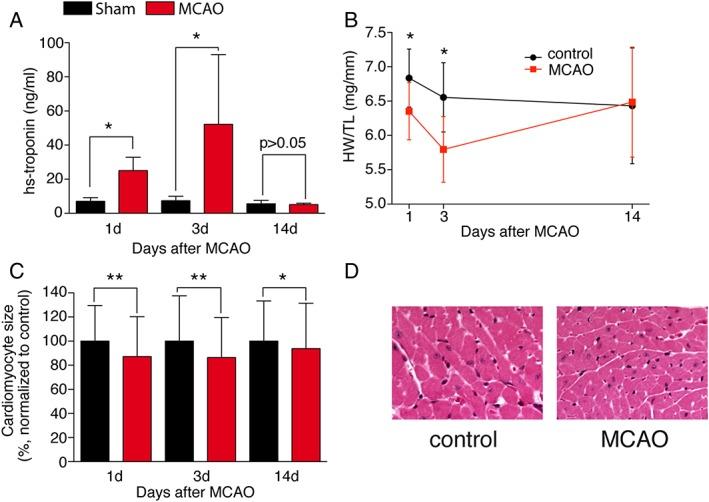 https://cdn.ncbi.nlm.nih.gov/pmc/blobs/1f93/6438414/c5128a1239f4/JCSM-10-54-g002.jpg