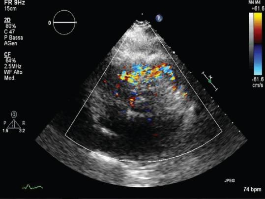 https://cdn.ncbi.nlm.nih.gov/pmc/blobs/1f94/5672688/dcd092ed3b19/JCE-27-145-g001.jpg