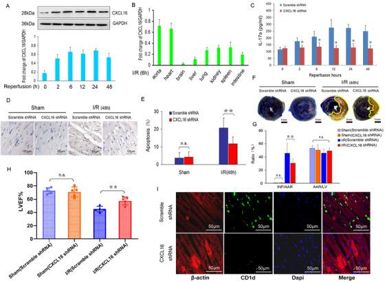 https://cdn.ncbi.nlm.nih.gov/pmc/blobs/1f95/7839957/1bc81ad4de13/CTM2-11-e301-g001.jpg