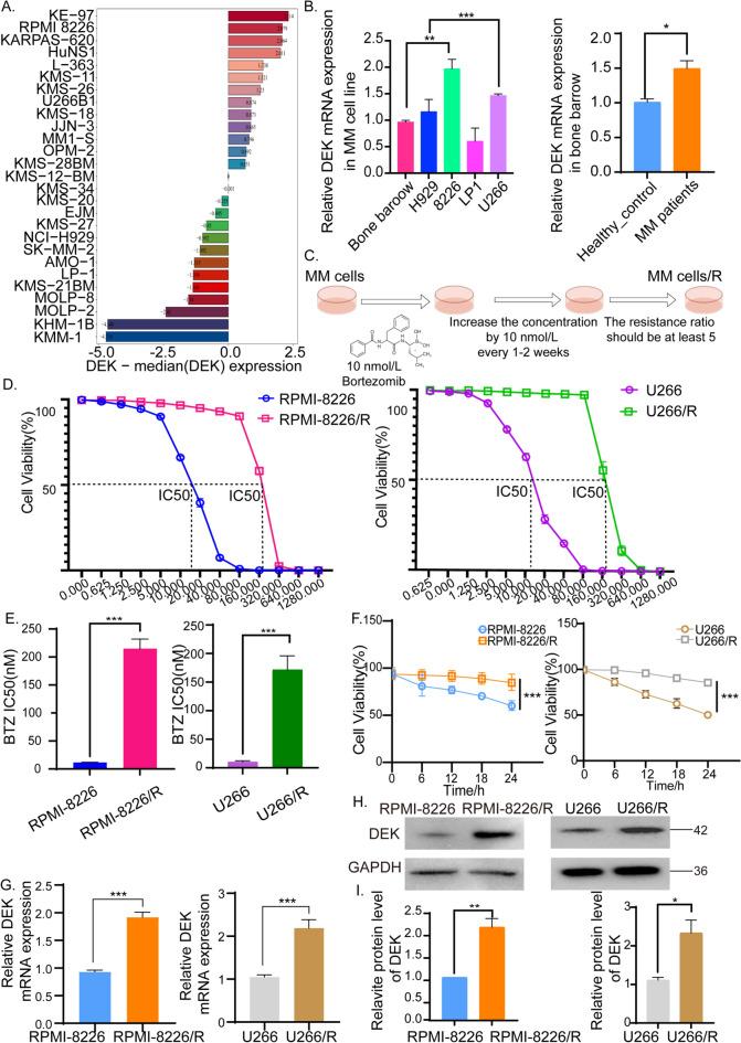 https://cdn.ncbi.nlm.nih.gov/pmc/blobs/1f96/12271269/9c491fde00d5/10238_2025_1673_Fig4_HTML.jpg