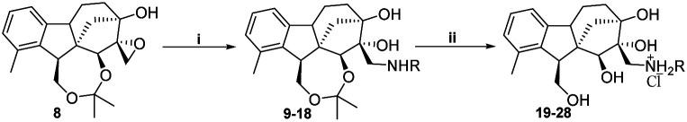 https://cdn.ncbi.nlm.nih.gov/pmc/blobs/1f98/11570881/217e8155fa5c/d4ra07334g-s3.jpg