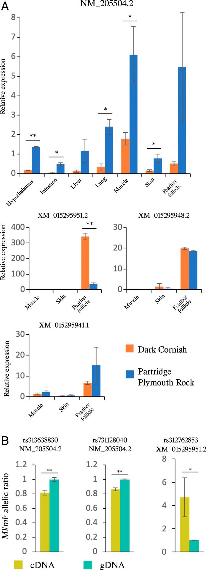 https://cdn.ncbi.nlm.nih.gov/pmc/blobs/1f98/8521658/27dd4bfe57b3/pnas.2109363118fig04.jpg