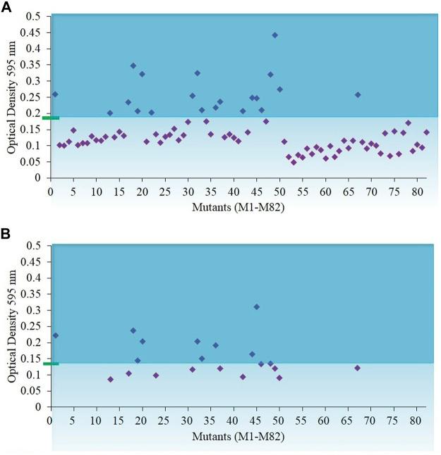 https://cdn.ncbi.nlm.nih.gov/pmc/blobs/1f98/9134194/93f6587234f6/fbioe-10-838445-g002.jpg
