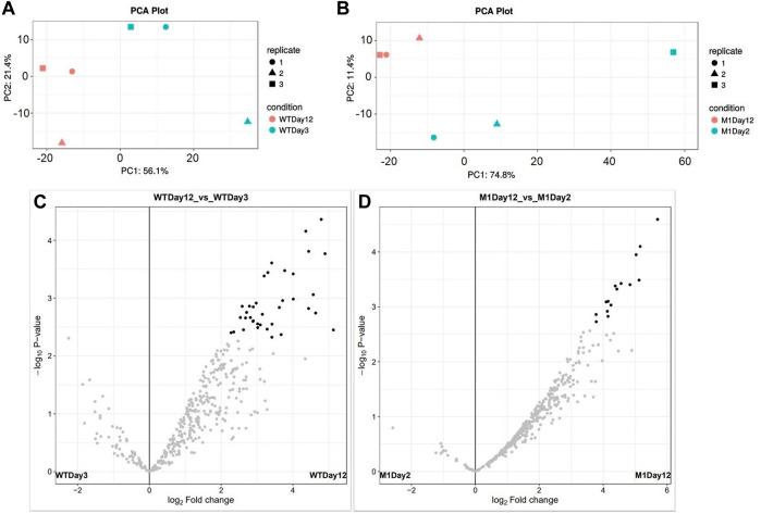 https://cdn.ncbi.nlm.nih.gov/pmc/blobs/1f98/9134194/bfe897310637/fbioe-10-838445-g006.jpg
