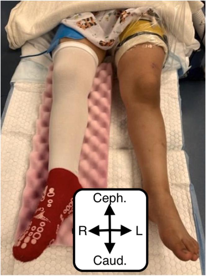 https://cdn.ncbi.nlm.nih.gov/pmc/blobs/1f9d/10837811/73288faf6f71/gr1.jpg