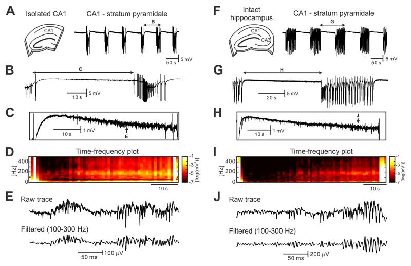 https://cdn.ncbi.nlm.nih.gov/pmc/blobs/1f9e/7617160/7dd8caefc2a2/emss-80222-f001.jpg