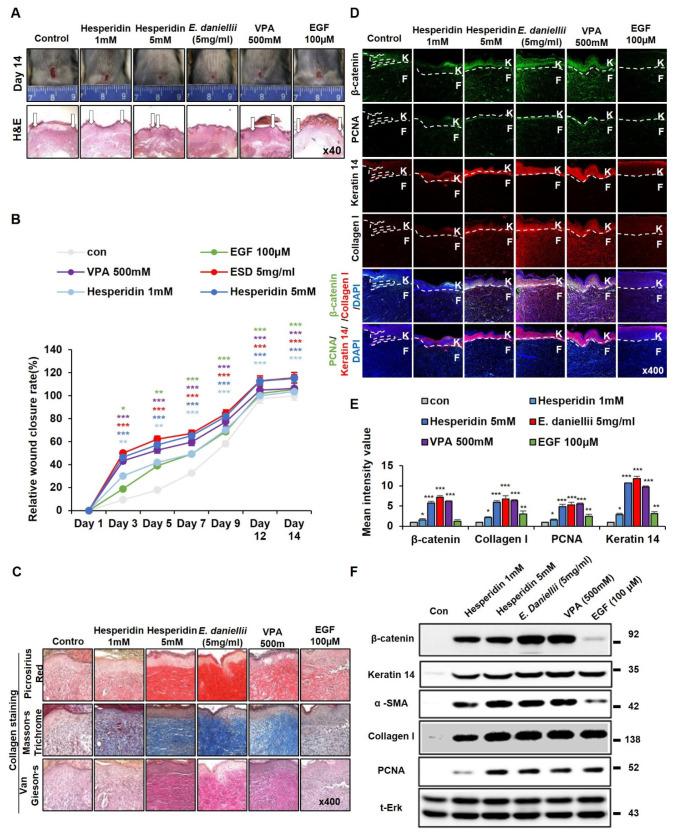 https://cdn.ncbi.nlm.nih.gov/pmc/blobs/1f9e/9608813/05b697aac11d/molecules-27-07134-g006.jpg
