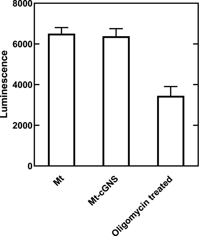 https://cdn.ncbi.nlm.nih.gov/pmc/blobs/1fa1/10359715/44a4a41bc3c0/gr5.jpg