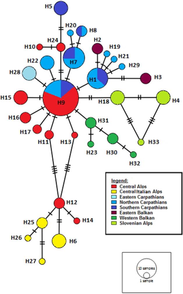 https://cdn.ncbi.nlm.nih.gov/pmc/blobs/1fa1/7794548/4ee65970978f/41598_2020_79376_Fig1_HTML.jpg