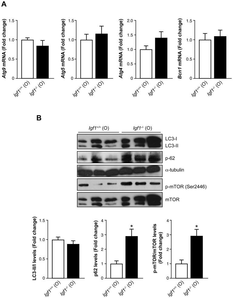 https://cdn.ncbi.nlm.nih.gov/pmc/blobs/1fa2/5047685/427443ad82cf/dmm-9-026344-g6.jpg