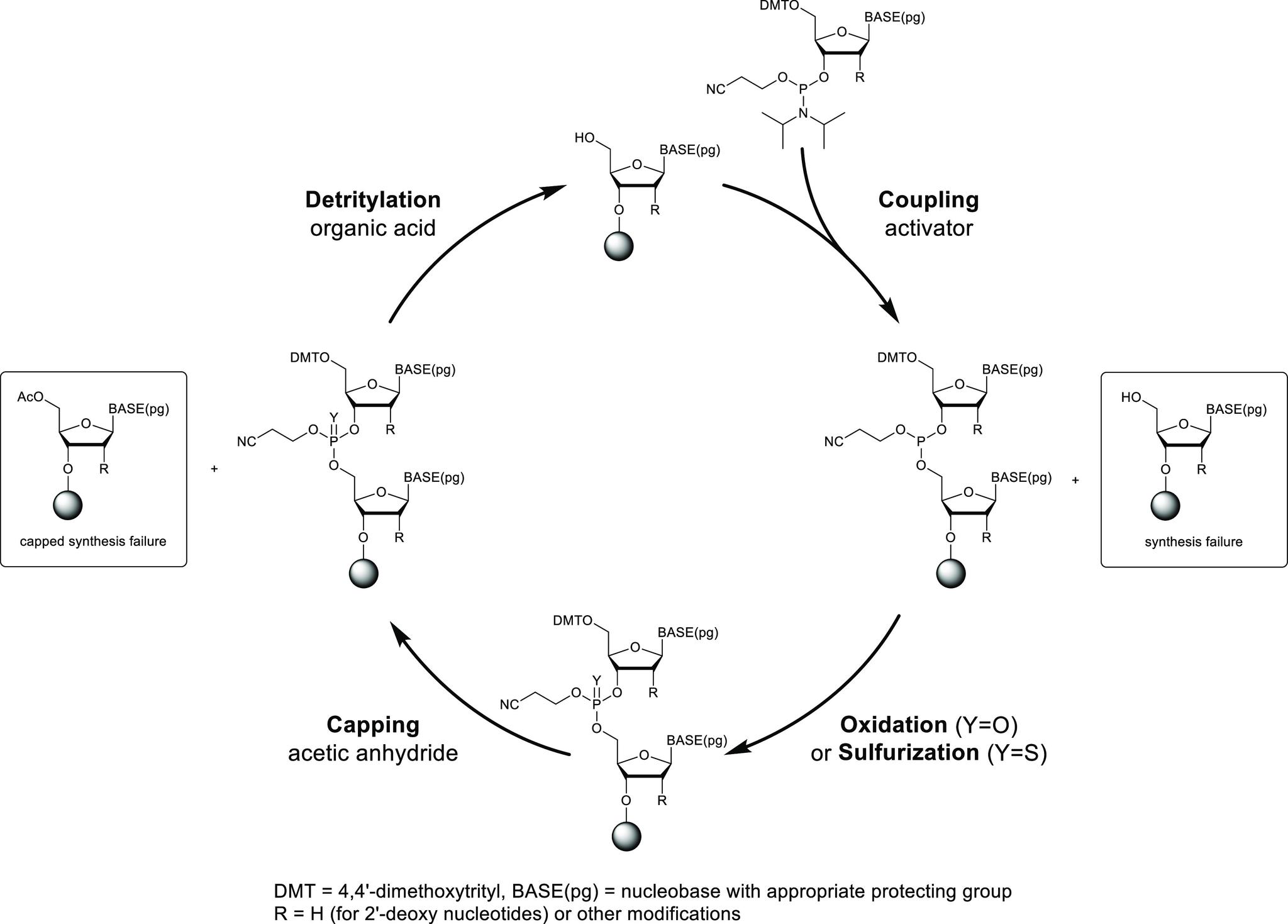 https://cdn.ncbi.nlm.nih.gov/pmc/blobs/1fa3/8154579/e517c3853863/jo0c02291_0012.jpg
