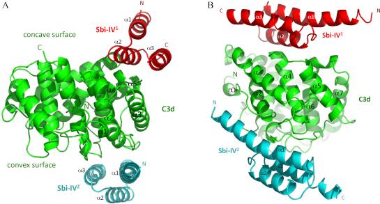 https://cdn.ncbi.nlm.nih.gov/pmc/blobs/1fa6/3025320/5ecbb61b6af1/gr2.jpg