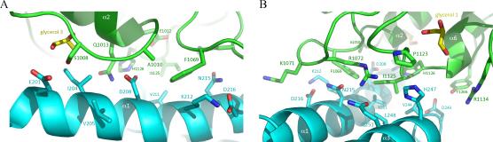 https://cdn.ncbi.nlm.nih.gov/pmc/blobs/1fa6/3025320/cd18a1089808/gr4.jpg