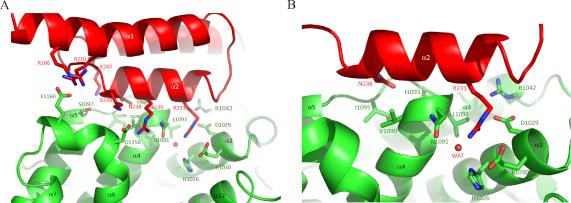 https://cdn.ncbi.nlm.nih.gov/pmc/blobs/1fa6/3025320/f6d17de3ee15/gr3.jpg