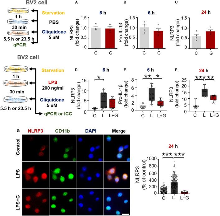 https://cdn.ncbi.nlm.nih.gov/pmc/blobs/1fa6/8587901/5f8a6daf539f/fnagi-13-754123-g008.jpg
