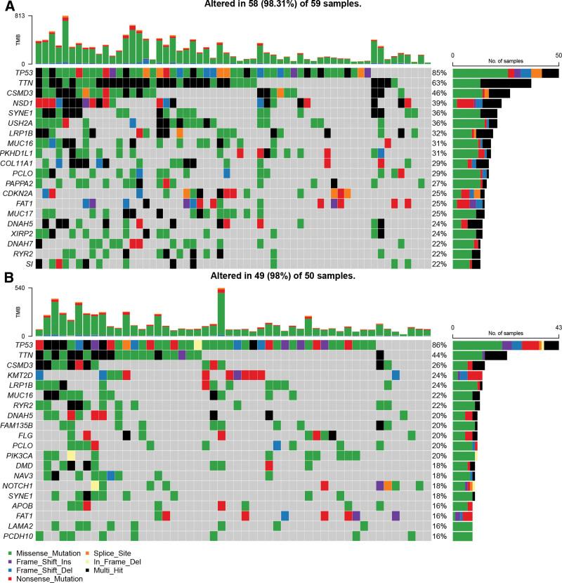https://cdn.ncbi.nlm.nih.gov/pmc/blobs/1fa7/11537643/bd0f67c8963d/medi-103-e40431-g008.jpg