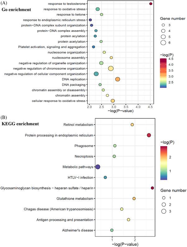 https://cdn.ncbi.nlm.nih.gov/pmc/blobs/1fa9/11317183/36320e0c5564/MCO2-5-e679-g002.jpg