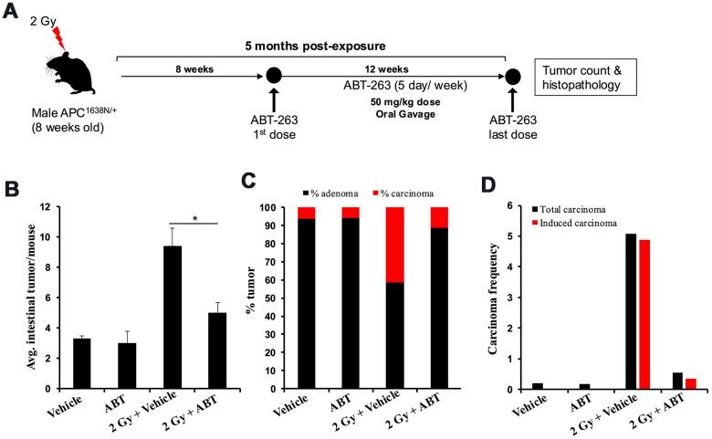 https://cdn.ncbi.nlm.nih.gov/pmc/blobs/1fa9/11810060/235f33cb8c22/aging-17-206183-g002.jpg