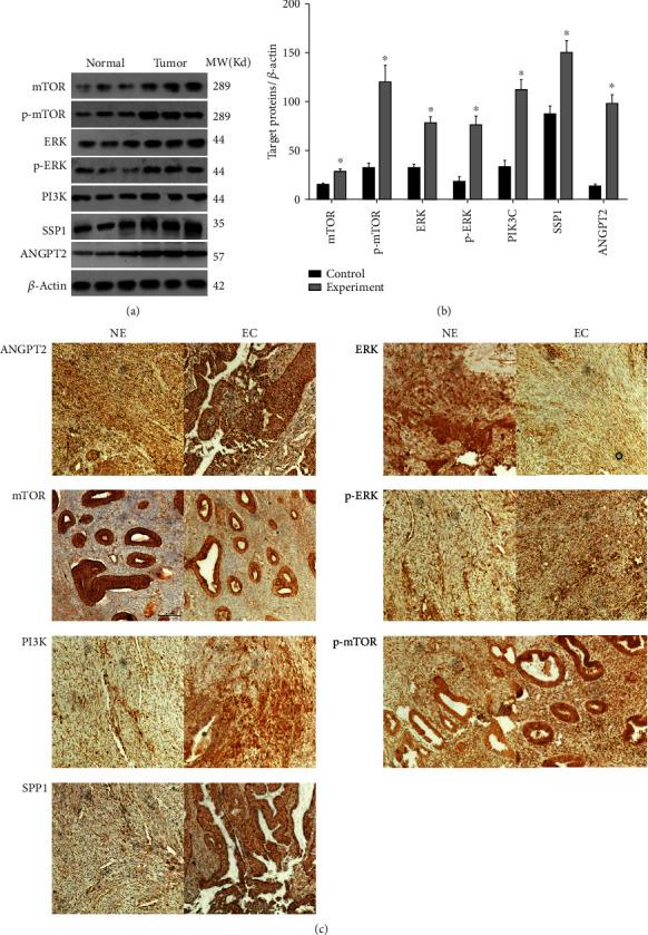 https://cdn.ncbi.nlm.nih.gov/pmc/blobs/1fa9/7463404/405f38c8b661/BMRI2020-5273969.004.jpg