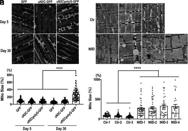 https://cdn.ncbi.nlm.nih.gov/pmc/blobs/1fa9/9565157/feee877cdb15/pnas.2208649119fig03.jpg
